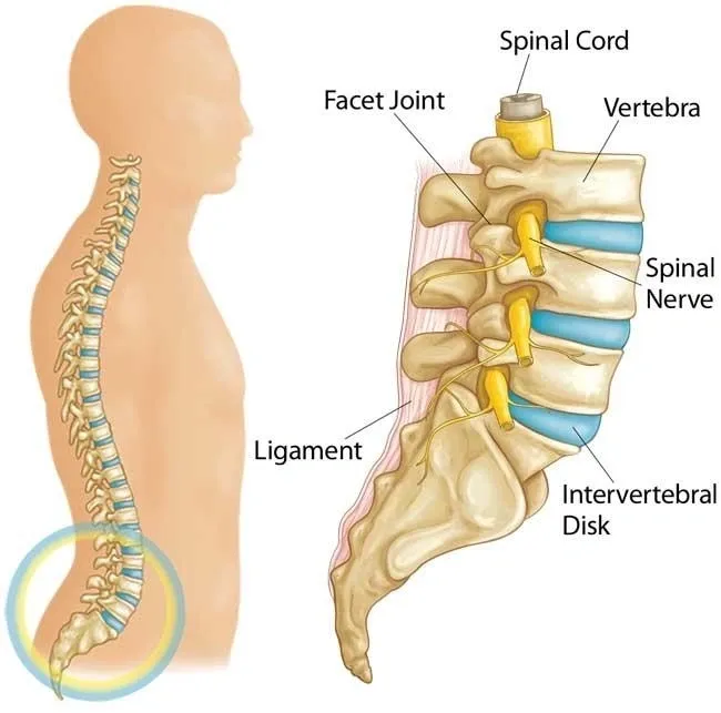 Low Back Pain Treatment in Malleswaram